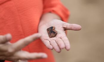 Aparecen fragmentos de cermicas griegas del siglo V en la necrpolis tartsica de Medelln