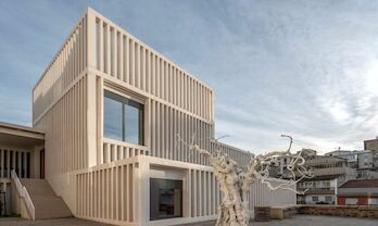 El Museo Helga de Alvear de Cceres organiza un ciclo de conferencias internacional